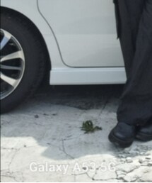 LIDNM | カーゴパンツ