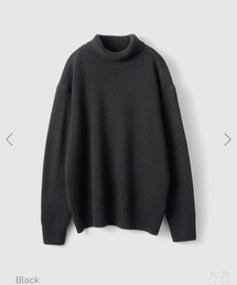 ANNUAL | Turtle Pullover(ニット/セーター)