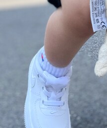 Champion | ソックス/靴下