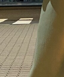 RehersalL | スカート