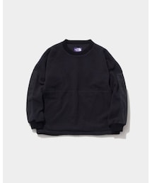THE NORTH FACE PURPLE LABEL | polartec field fleece crew neck / na2157n (スウェット)