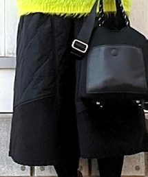 Antgauge | スカート