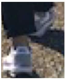 fragment design | シューズ