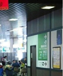 FUJI ROCK FESTIVAL | DVD