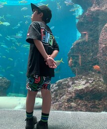 ELEMENT | Tシャツ/カットソー