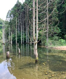 秘密の場所🤫 | その他