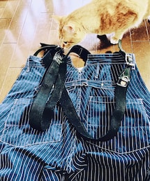 Anachronorm | ストライプデニムワークパンツ(デニムパンツ)