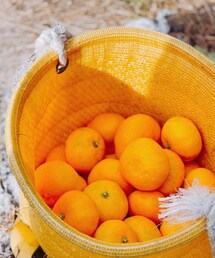 🍊🍊🍊♡ | その他