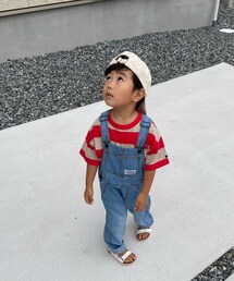 飛んでいく鳥を目で追う🕊 | その他