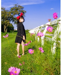 コスモスと空と | その他