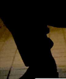 Levi's | スラックス