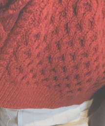 ALEXIA STAM | トップス