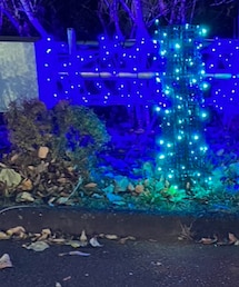 GU | ショルダーバッグ