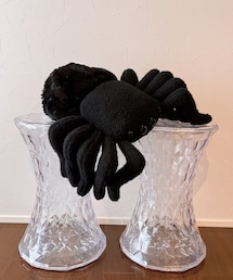 蜘蛛 | うわぁ…大きい🕷😂😂😂(ペットグッズ)