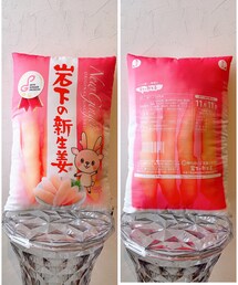 岩下の新生姜 | 公式キャラクターのイワシカちゃんがいます♡(クッション/クッションカバー)