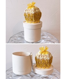 ANTEPRIMA | 植木鉢型♡サボテン(バッグ)