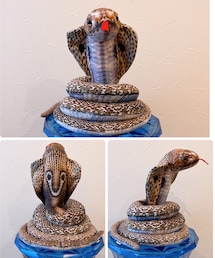 COBRA | わーい😙威嚇中〜♬🐍(ペットグッズ)