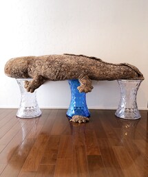 オオサンショウウオ機長のおじいさま♬ | 175cmとビッグサイズ♬下に19cmの小さな機長がいます👌(笑)(ペットグッズ)