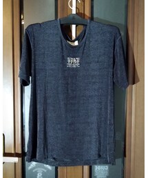 VALENZA PO | ポリエステル系の生地・キラキラ系素材・新品・年代物・義理の母からゲット(Tシャツ/カットソー)