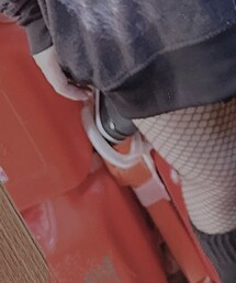 SHEIN | タイツ/ストッキング