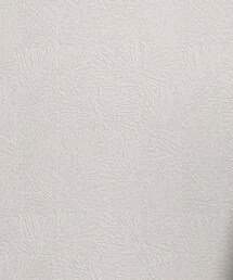 ZARA | ポロシャツ