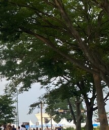 CLIO | simplain eyeplatte / 02 washed mauve(アイシャドウ)