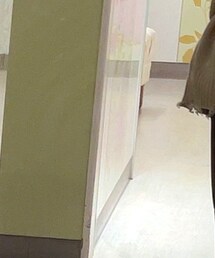 SHEIN | スラックス