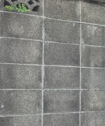 BRUNABOINNE | アクセサリー