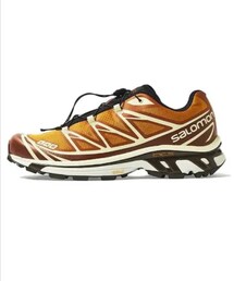 SALOMON | END. × Salomon XT-6 "Porcini"(スニーカー)