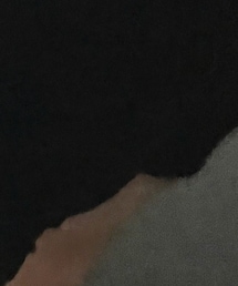 ZARA | Tシャツ/カットソー
