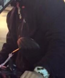 SuperDry | その他アウター