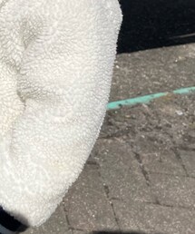 ZARA | ブルゾン