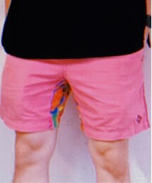 ALDIES | パンツ