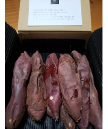 さつまいも🍠 | その他