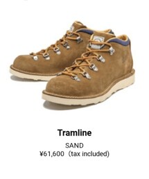 Danner | Danner 54315 IRON and RESIN(シューズ)