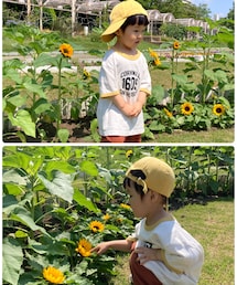 ひまわり🌻 | その他