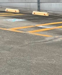 DIESEL | スカート