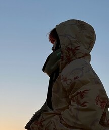 ARIES | マフラー