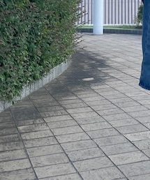 Tabio | ソックス/靴下