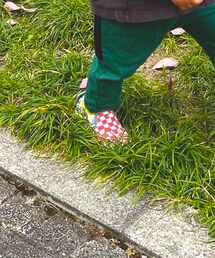 VANS | スニーカー