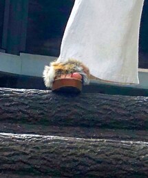 LOWRYS FARM | サンダル