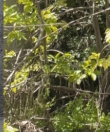 いいね、フォロー、よろしくお願いします‼️ | その他