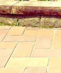 いいね、フォロー、よろしくお願いします！！ | その他