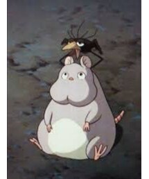 坊ネズミ | その他