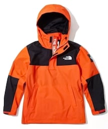 THE NORTH FACE | THE NORTH FACE DALTON ANORAK(日本未発売モデル)(ジャケット/アウター)