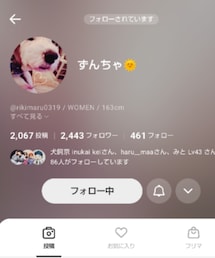 ずん猫ちゃん✨ | その他