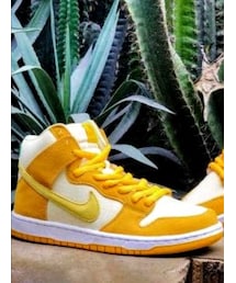 NIKE SB | スニーカー