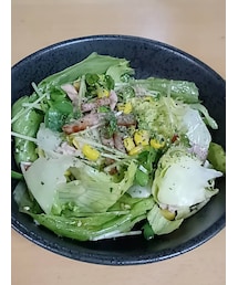 無限サラダ | その他