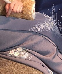 吉乃一廉 | 着物