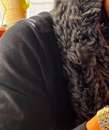 ロベルトぺぺ | ニット/セーター